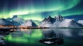Aurora borealis over the sea, snowy mountains and city lights at night. Northern lights in Lofoten islands, Norway. Starry sky