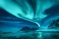 Aurora borealis over the snowy mountains and sandy beach