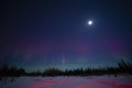 Aurora Borealis , Spruce Forest, Snow and Stars Royalty Free Stock Photo