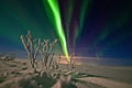 Aurora Borealis in Teriberka