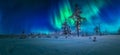 Aurora green lights panorama at northern sky, young snowy pine tree forest