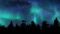 Aurora northern lights trees Vacation travel winter forest landscape starry sky 3d