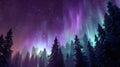 Aurora Over Forest Trees at Night Royalty Free Stock Photo