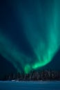 Aurora over Jolliffe Island Pine Trees, Yellowknife Royalty Free Stock Photo