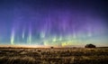 Auroras in the countryside