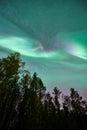 Auroras over our heads in Sweden