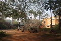 Auroville in Puducherry, India