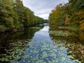 Ausable Channel Pinery Provincial Park