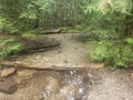 Ausable Freshwater Spring