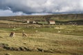 Ausangate, Peru Royalty Free Stock Photo