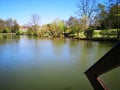 Ausblick auf teich Royalty Free Stock Photo