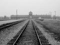 Auschwitz Royalty Free Stock Photo