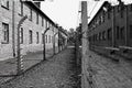Auschwitz Royalty Free Stock Photo