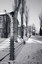 Auschwitz Royalty Free Stock Photo