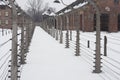 Auschwitz Royalty Free Stock Photo