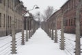 Auschwitz Royalty Free Stock Photo