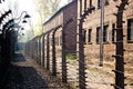 Auschwitz Barbed Wire Royalty Free Stock Photo