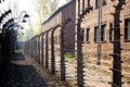 Auschwitz Barbed Wire