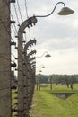 Auschwitz Barbed wire Royalty Free Stock Photo