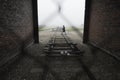 Auschwitz - Birkenau Royalty Free Stock Photo