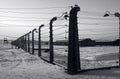 Auschwitz / Birkenau