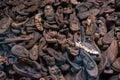 AUSCHWITZ-BIRKENAU CONCENTRATION CAMP, POLAND - JUNE, 2017: Shoes of prisoners Royalty Free Stock Photo