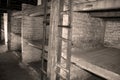 Auschwitz concentration camp inside barrack wall with graffiti