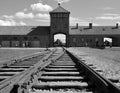 Auschwitz concentration camp entrance train tracks Royalty Free Stock Photo