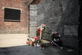 Flowers and candles by the Wall of Death, Auschwitz