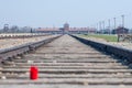 Auschwitz Birkenau - Train Track and Main Entrance. Concentration Camp Royalty Free Stock Photo