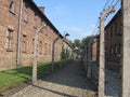 Auschwitz Camp Royalty Free Stock Photo