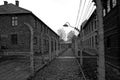 Auschwitz concentration camp Royalty Free Stock Photo