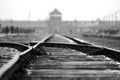 Rails at The Auschwitz concentration camp Royalty Free Stock Photo