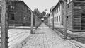 Auschwitz Concentration Camp Museum - Fences and Barbed Wire between the barracks. July 7th, 2015.Black and white Royalty Free Stock Photo