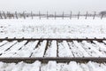 Auschwitz concentration camp