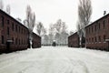 Auschwitz Royalty Free Stock Photo