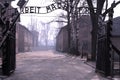 Auschwitz 1 Royalty Free Stock Photo