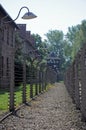 Auschwitz detail Royalty Free Stock Photo