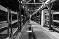 Auschwitz II - Birkenau wooden barracks interior