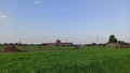 Gate with the camp remains in the background in Auschwitz II-Birkenau