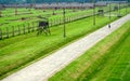 Auschwitz, Poland: Birkenau Concentration Camp