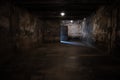 Auschwitz, Poland - The gas chamber of the extermination camp- The gas chamber of the extermination camp