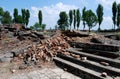 Auschwitz, Poland: Gas Chamber Ruins Royalty Free Stock Photo