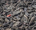 Auschwitz, Poland- July 16, 2023: Prisoners shoes in the Auschwitz - Birkenau museum concentration camp.