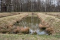 Auschwitz, Poland. Site where ashes from the crematoria at Auschwitz Birkenau concentration camp were disposed of. Royalty Free Stock Photo