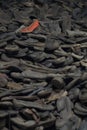 Auschwitz - shoes Royalty Free Stock Photo