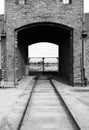 Auschwitz Track