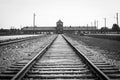 Auschwitz view from railway in black and white