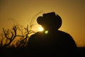 Drover's profile on backlight Royalty Free Stock Photo