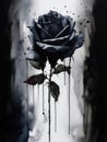 An austere stilllife painting of a single black rose a single drop of dripping off of its petals. Gothic art. AI